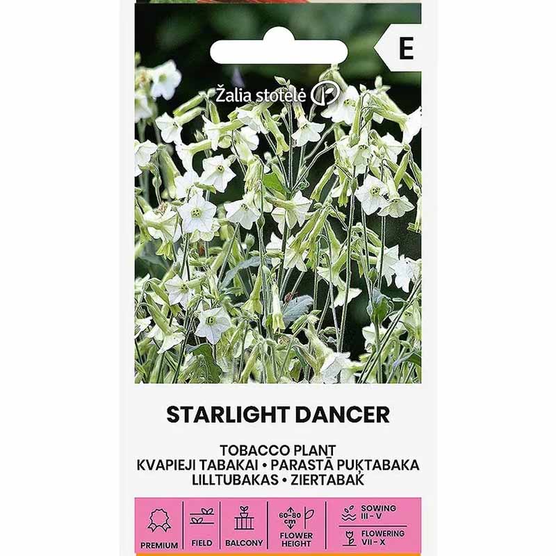 Ziertabak 'Starlight Dancer'