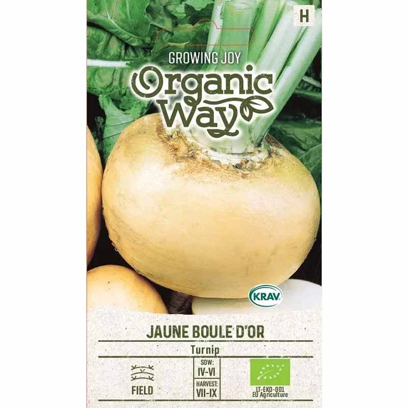 Steckrübe 'Jaune Boule D'or'