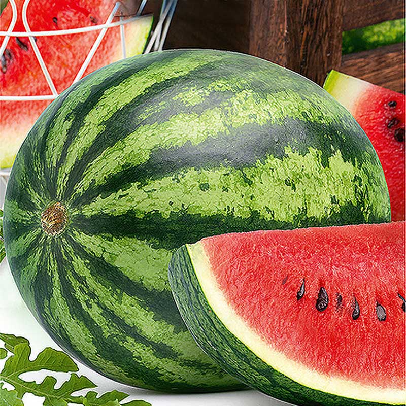 Wassermelone 'Megacrimson' F1