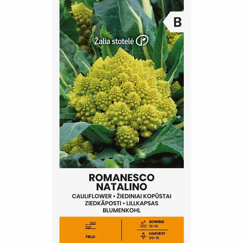 Blumenkohl 'Romanesco natalino'