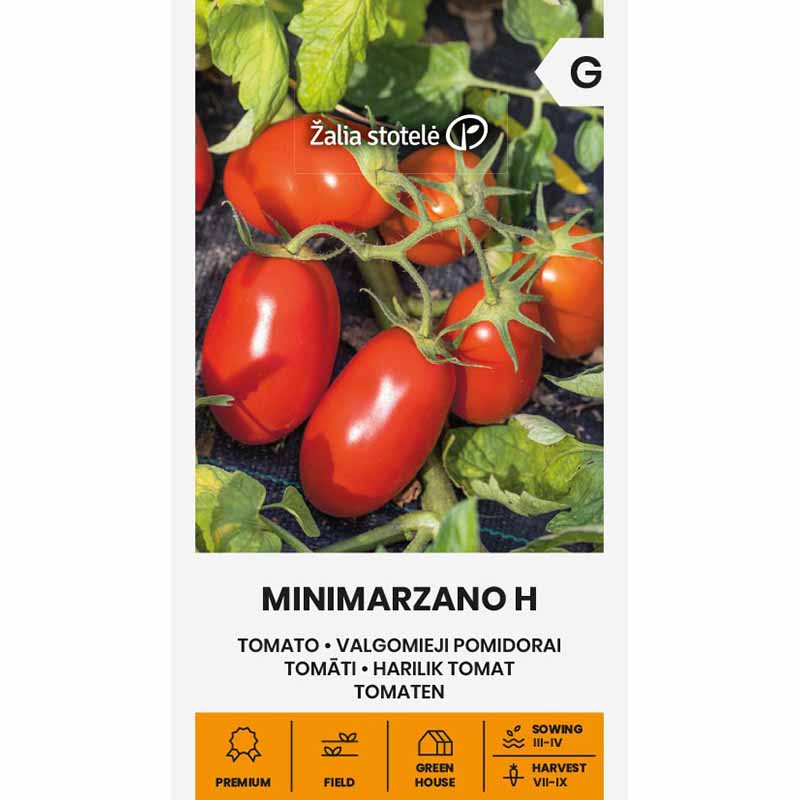 Tomate 'Minimarzano' H