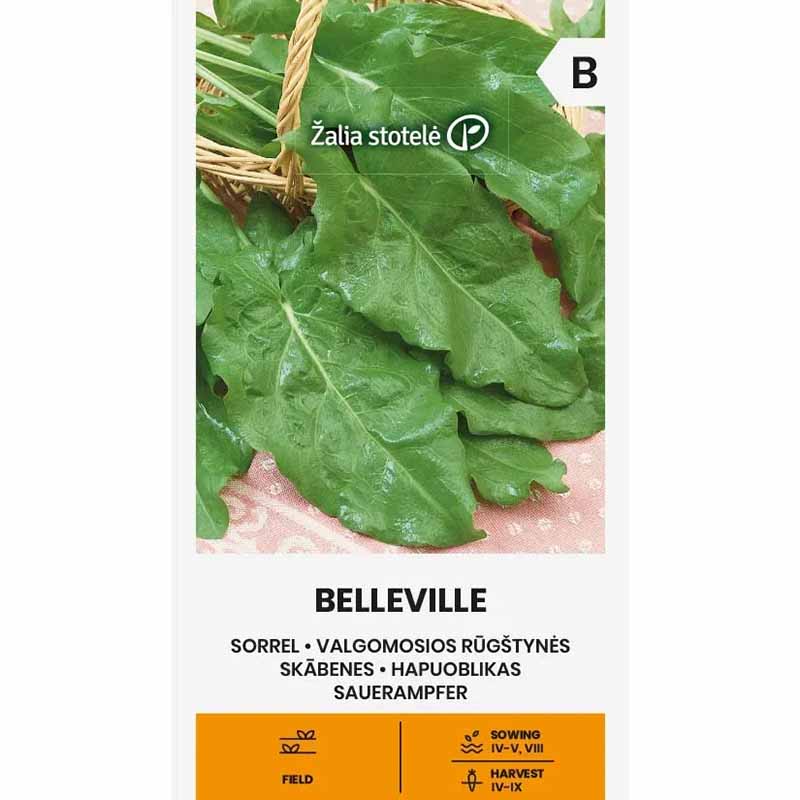 Wiesensauerampfer 'Belleville'