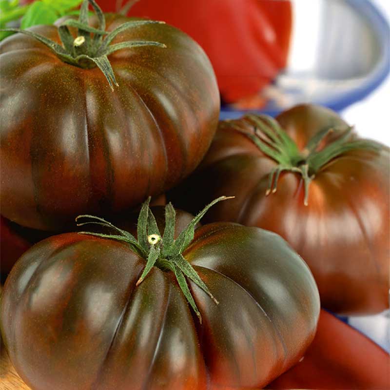 Fleischtomate 'Cherokee'