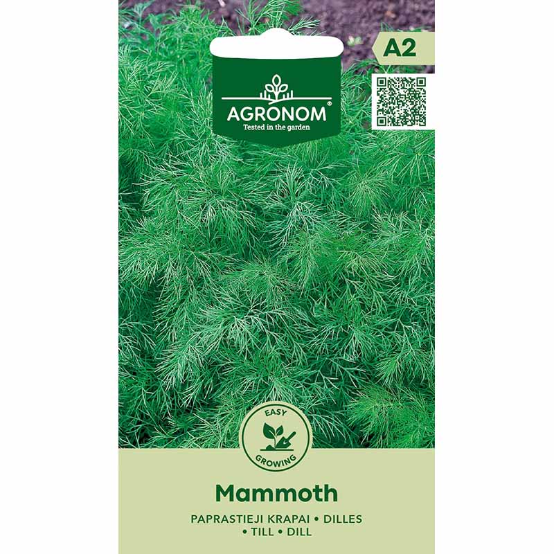 Dill 'Mammouth'