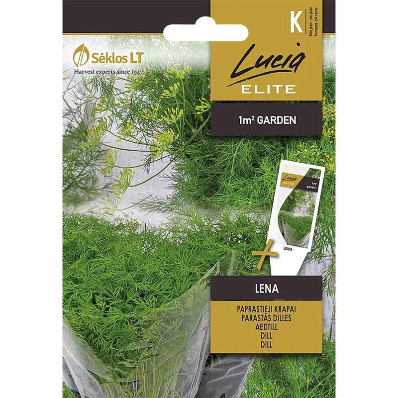 Dill 'Lena'