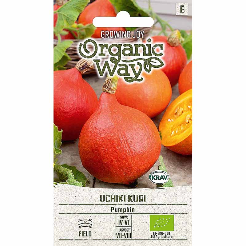 Kürbis 'Uchhiki Kuri'