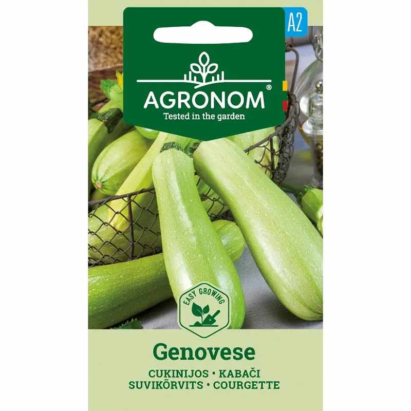 Zucchini 'Genovese'