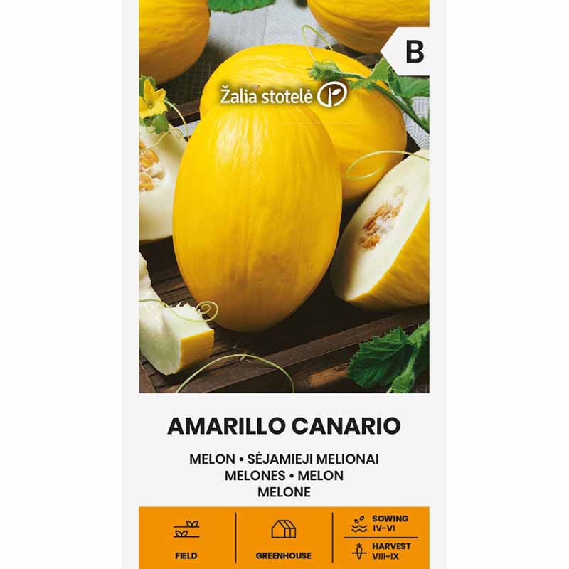 Melone 'Amarillo Canario'