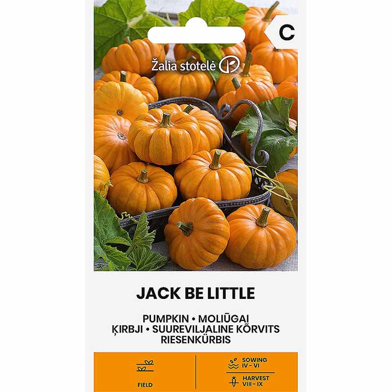 Zierkürbis 'Jack Be Little'