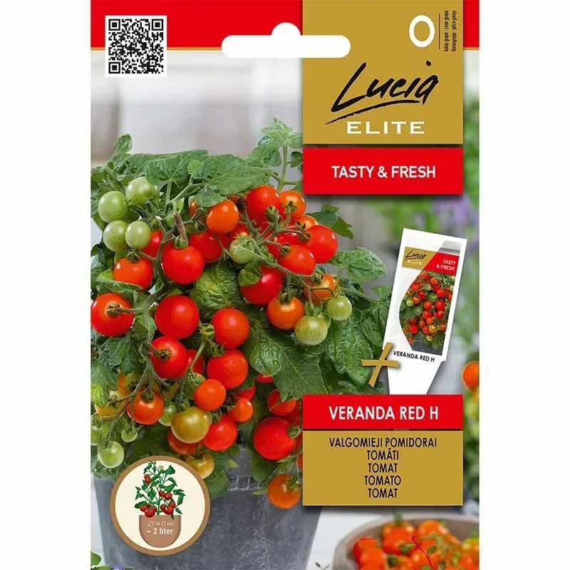 Tomate 'Veranda red' H