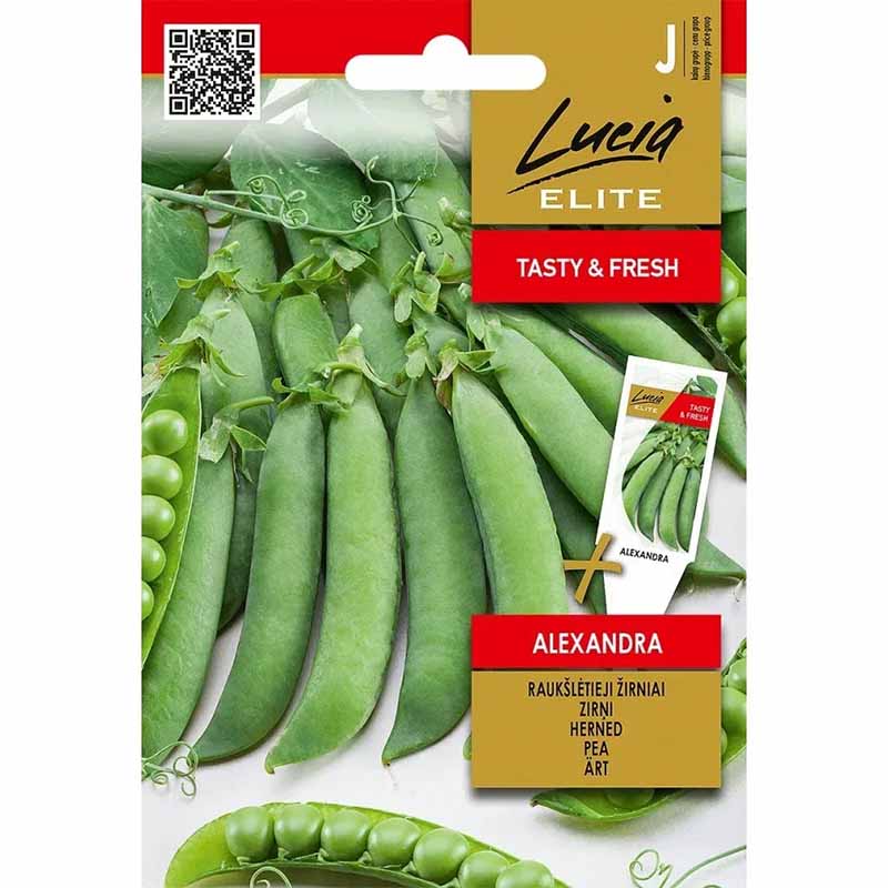 Erbse 'Alexandra'