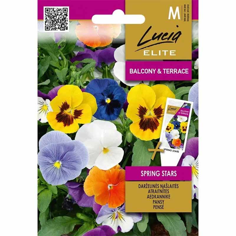 Stiefmütterchen 'Spring Stars'