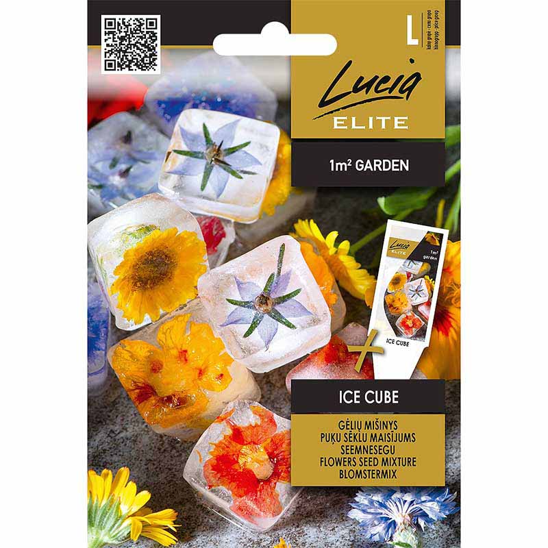 Blumenmischung 'Ice Cube'