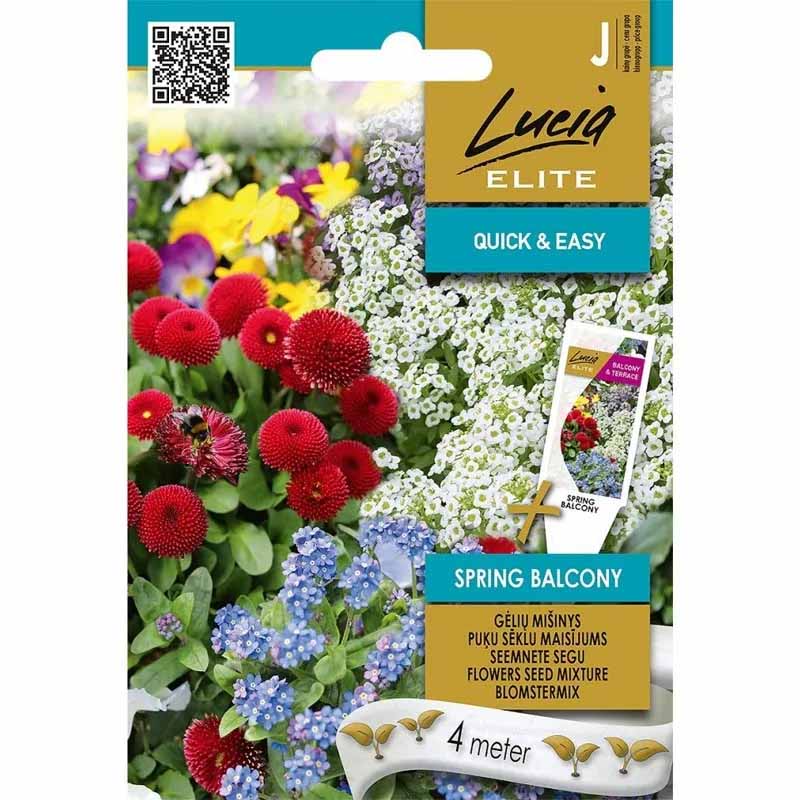 Blumenmischung 'Spring Balcony'