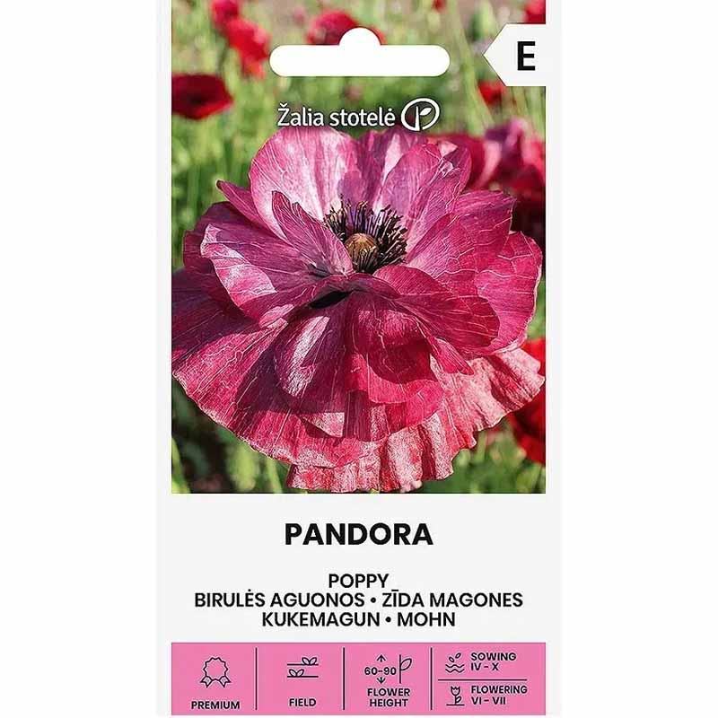 Mohn 'Pandora'