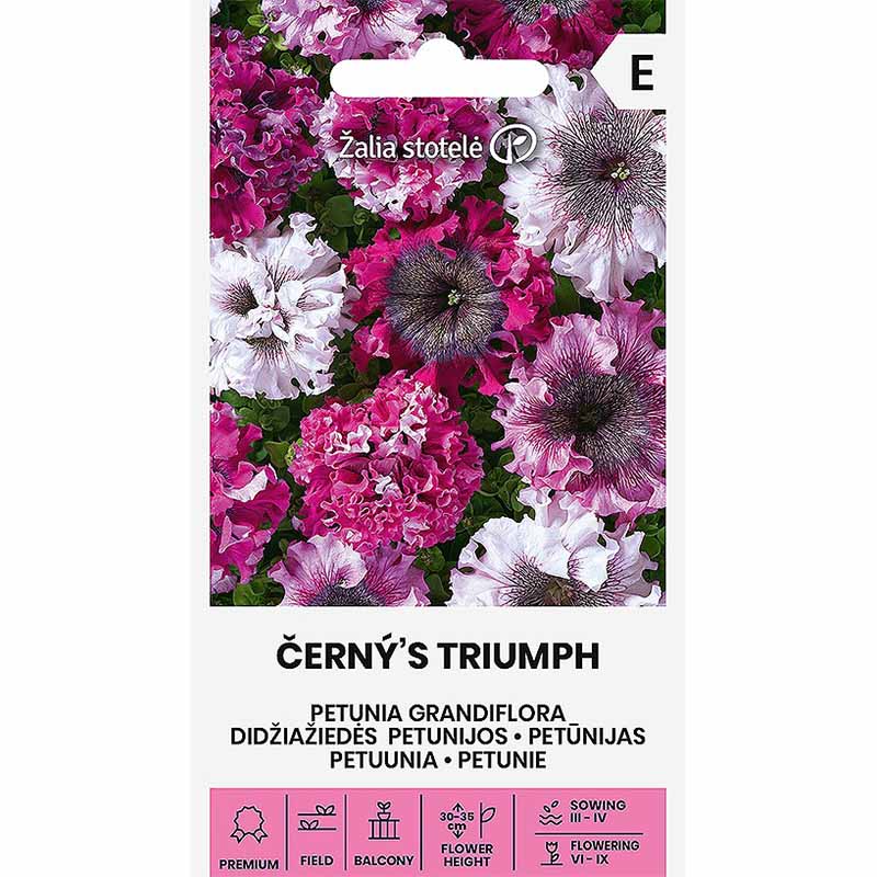Petunie 'Grandiflora Cernys Triumph'