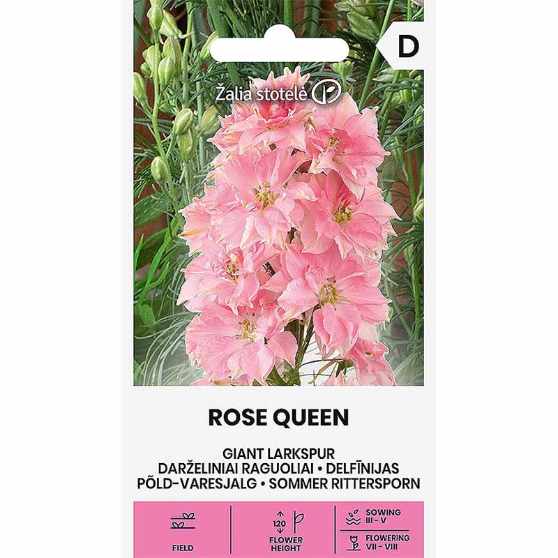 Rittersporn 'Rose Queen'