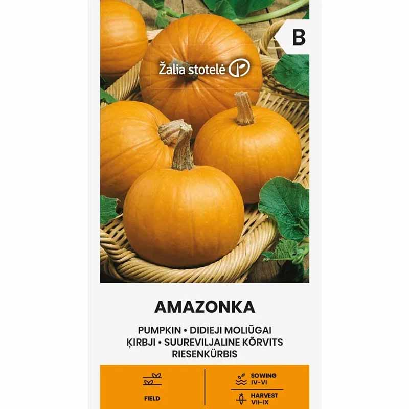 Kürbis 'Amazonka'
