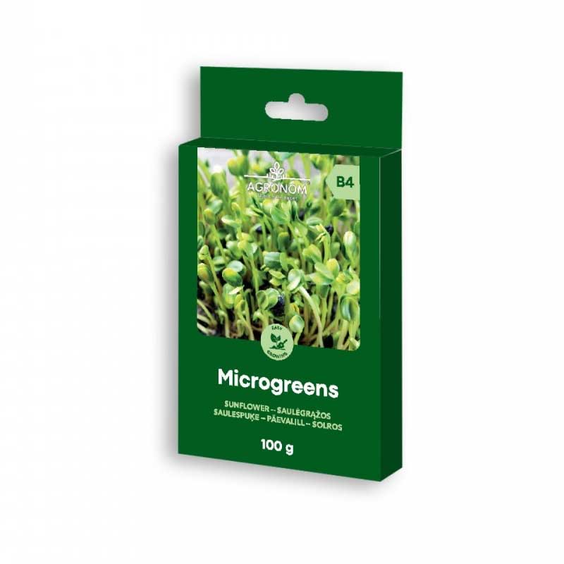 Microgreens Sonnenblume