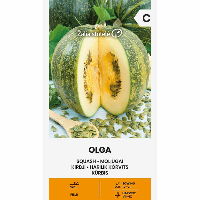 Zucchini 'Olga'