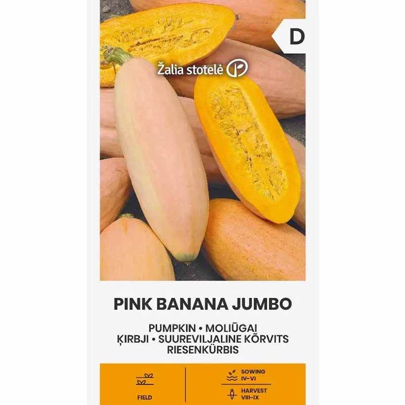 Riesenkürbis 'Pink banana jumbo'