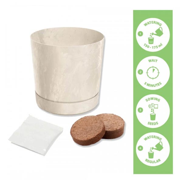 Anzuchtset Pfefferminze