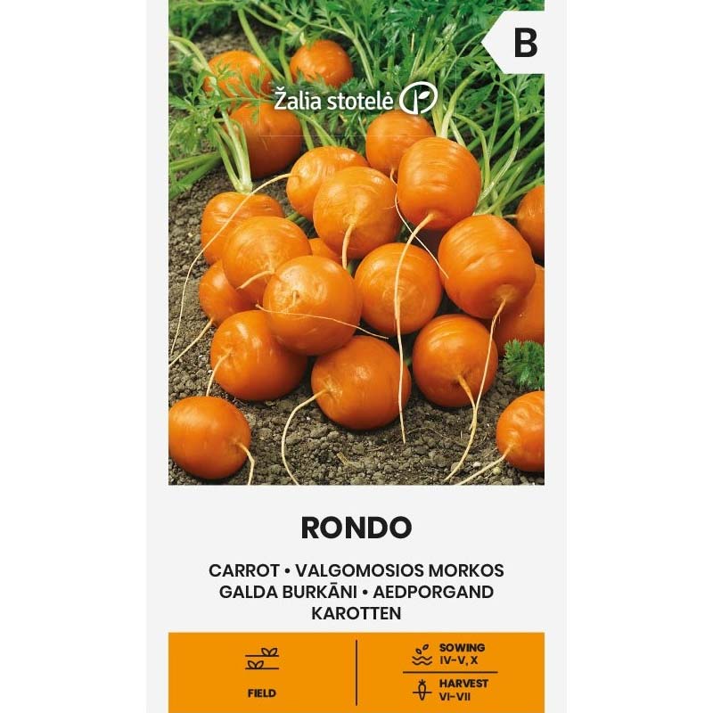 Carrot 'Rondo'