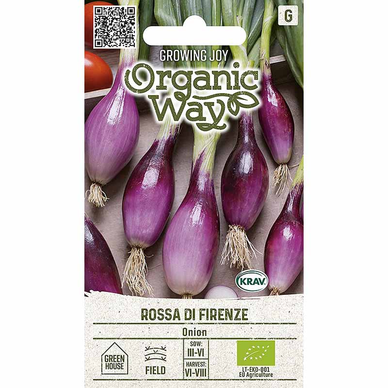 Zwiebel 'Rossa di Firenze'