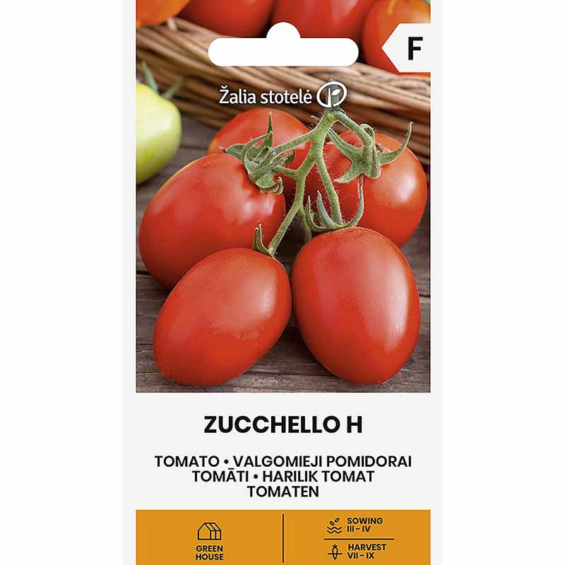 Tomate 'Zucchello' H