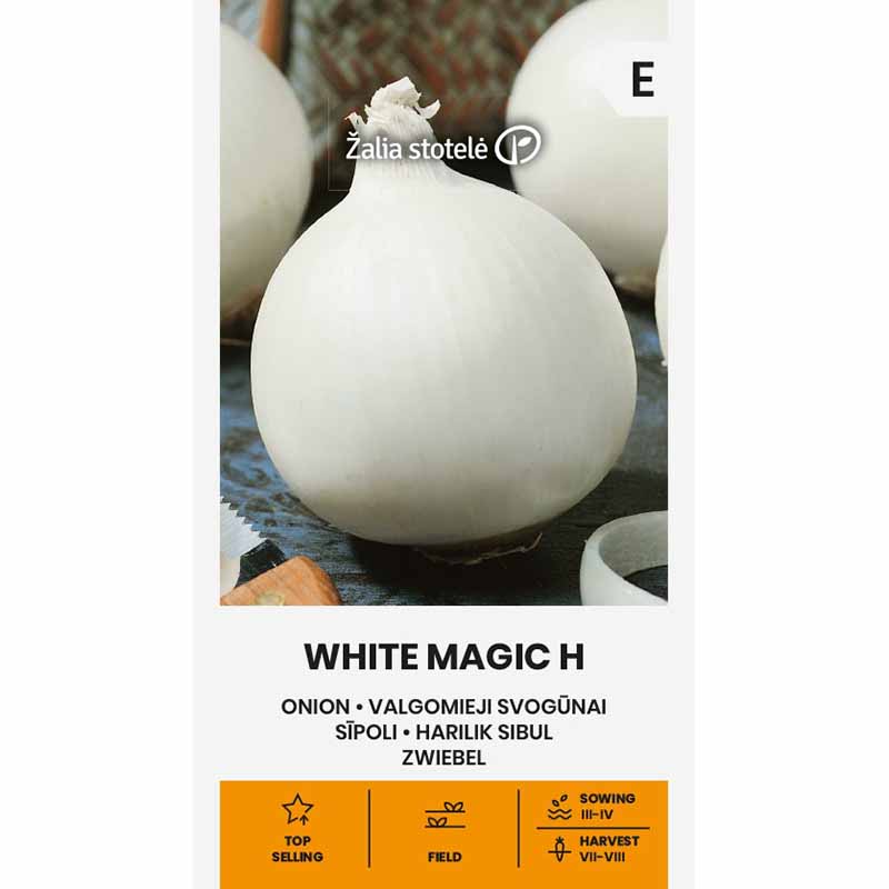 Zwiebel 'White Magic' H
