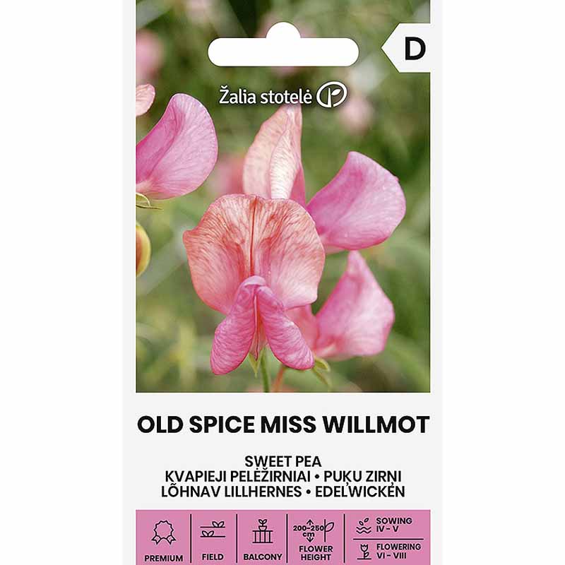 Duftwicke 'Old Spice Miss Willmot'