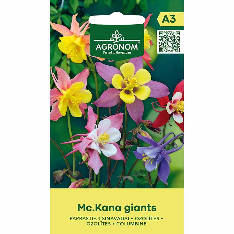 Akelei 'McKana Giants'