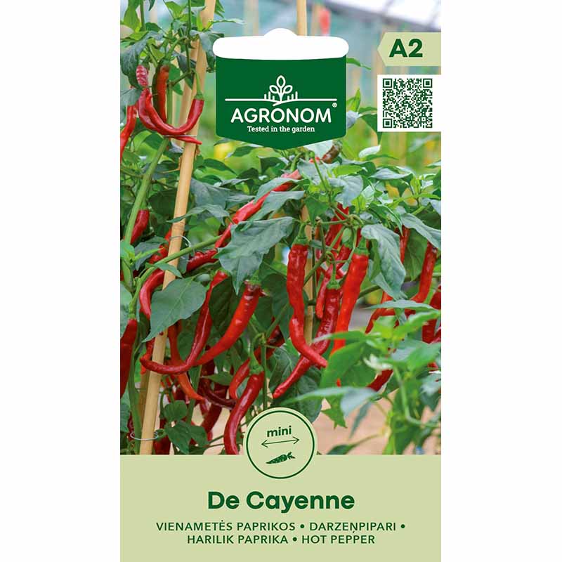 Chili Pepper 'Hot de cayenne'