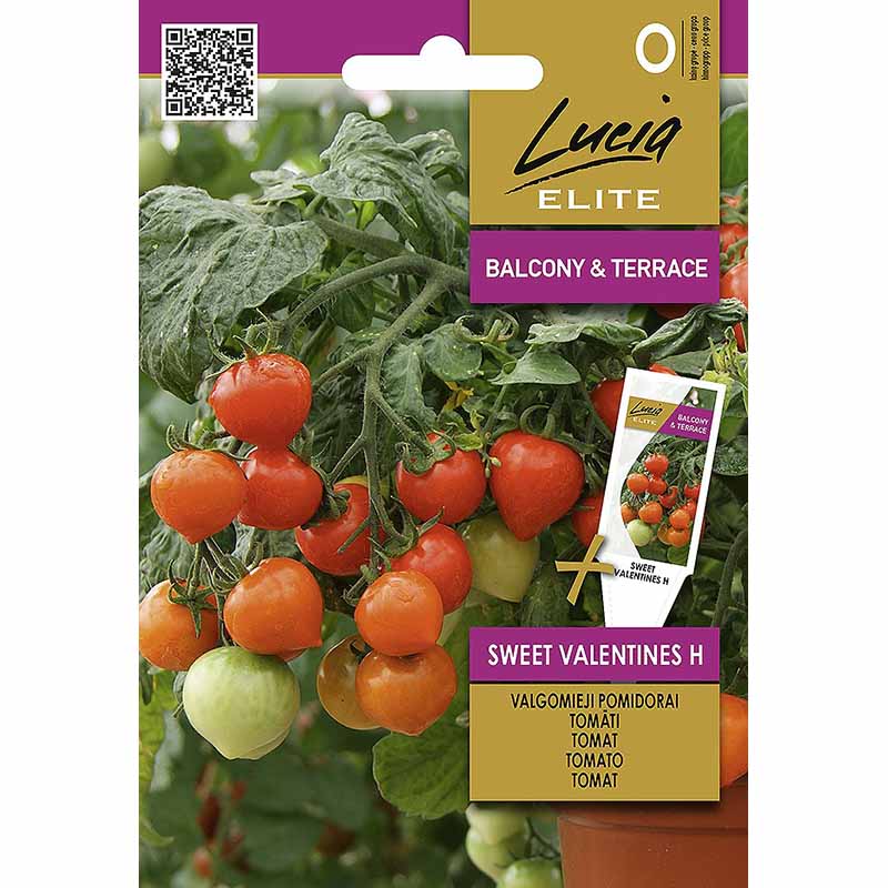 Tomate 'Sweet Valentines' H