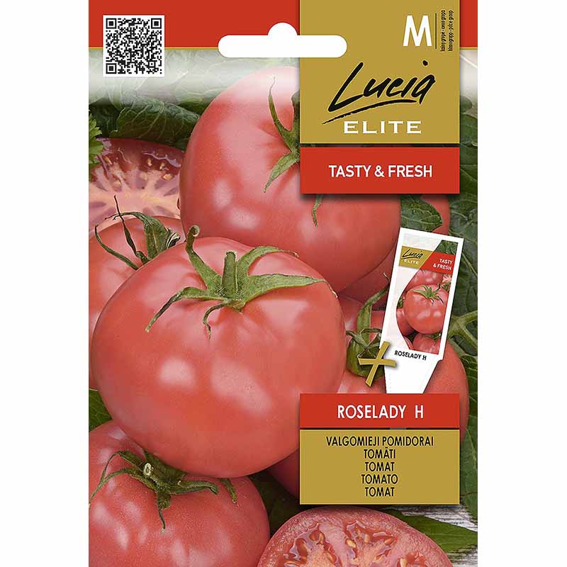 Tomate 'Roselady' H