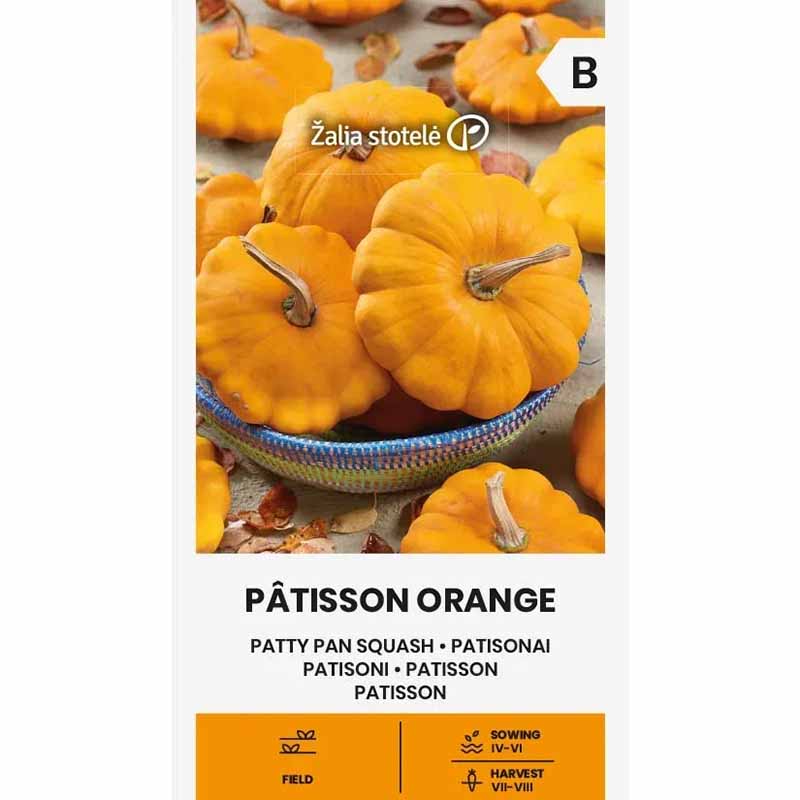 Ufo-Kürbis 'Patisson orange'