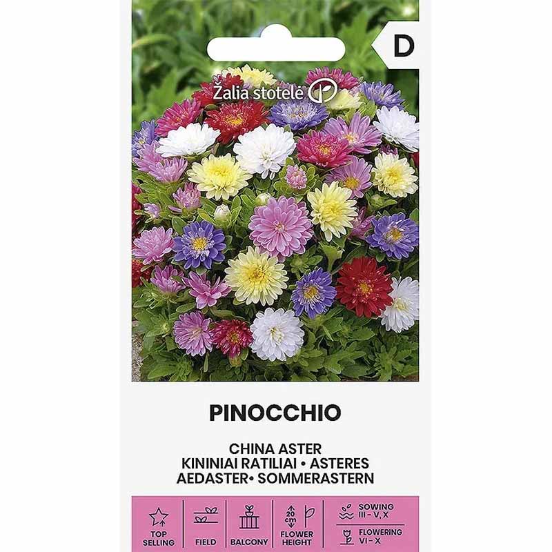 Aster 'Pinocchio mix'