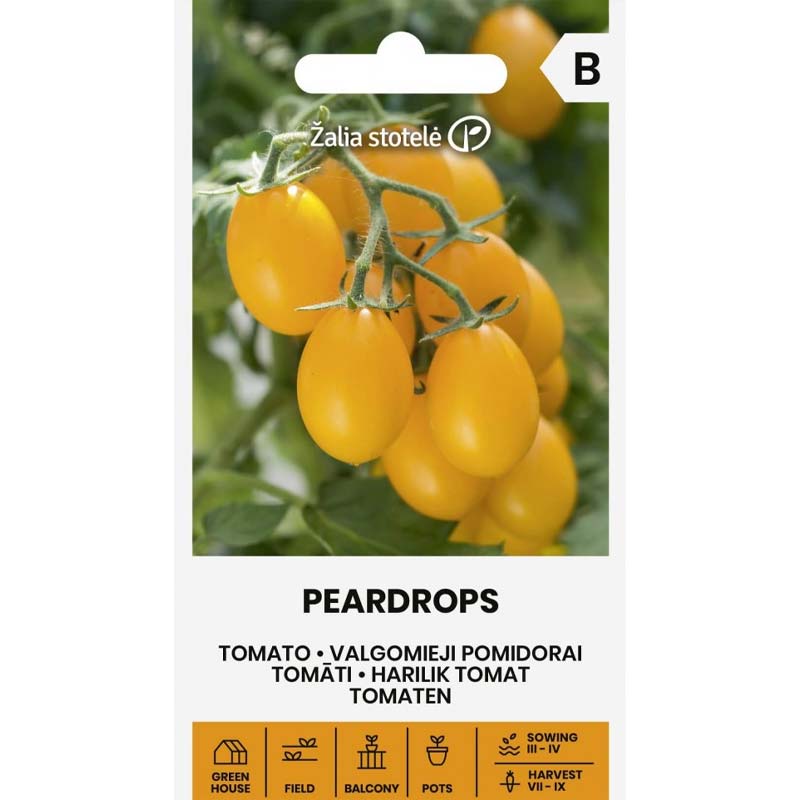 Tomate ‚Peardrops‘