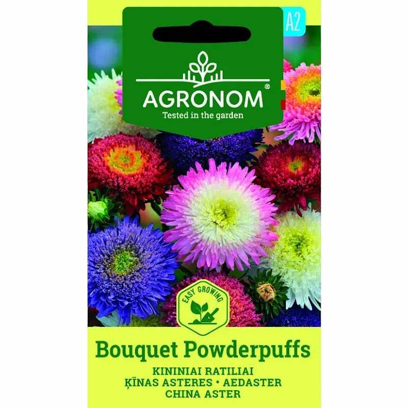 Sommeraster 'Bouquet Powderpuffs'