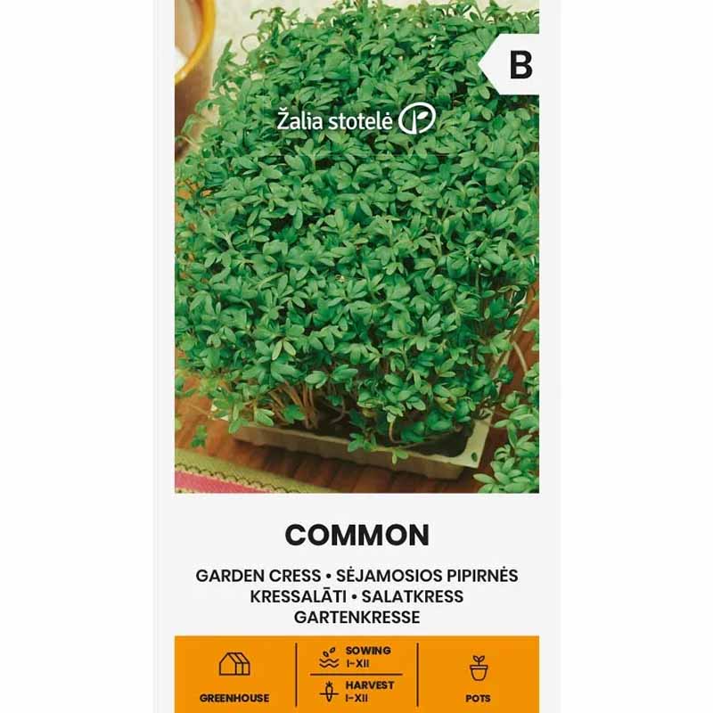 Gartenkresse 'Common'