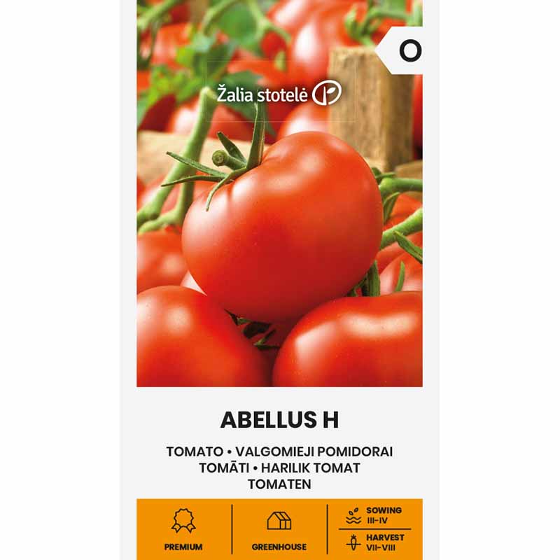 Tomate 'Abellus' H