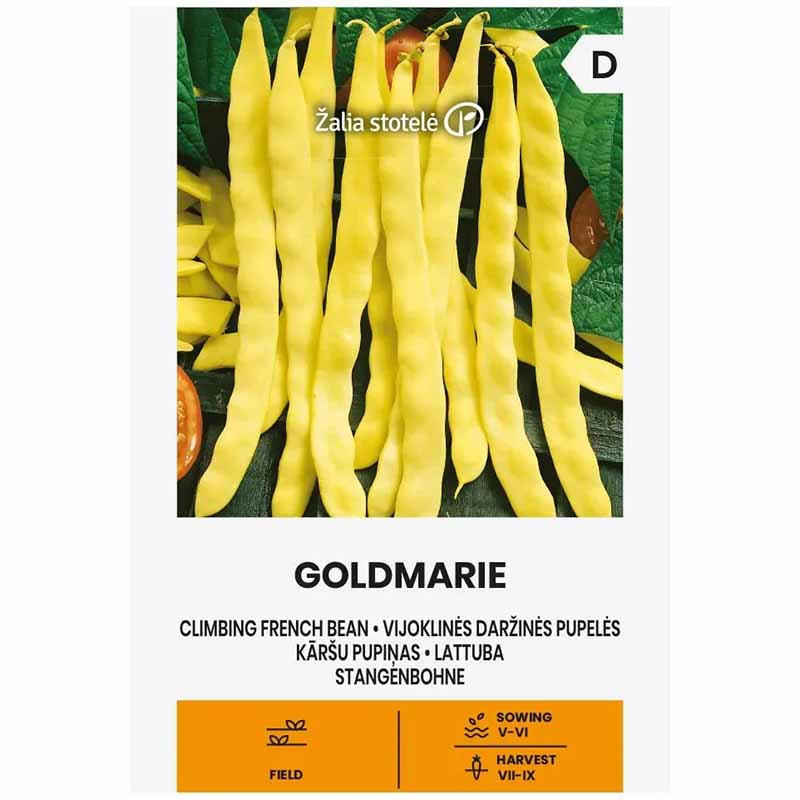 Stangenbohne 'Goldmarie'