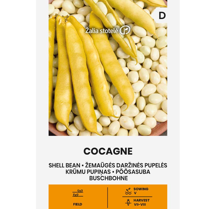 Auskernbohne 'Cocagne'