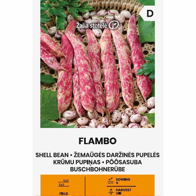 Zwergbohne 'Flambo'