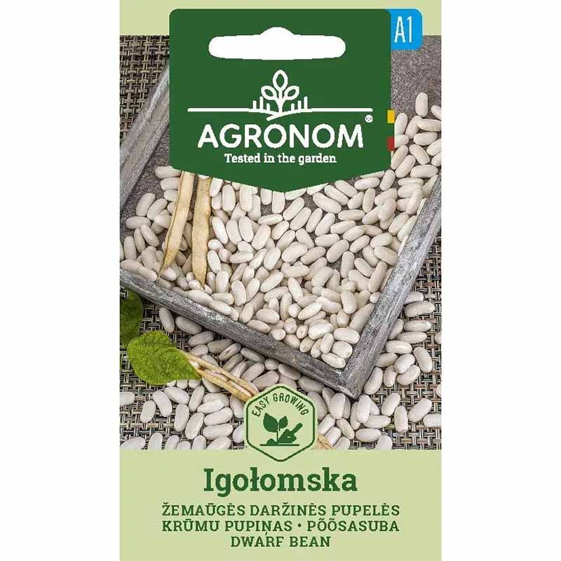Kochbohne 'Igołomska'