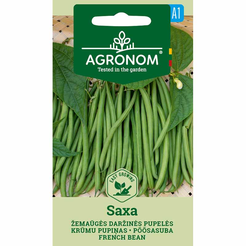 Buschbohne 'Saxa'