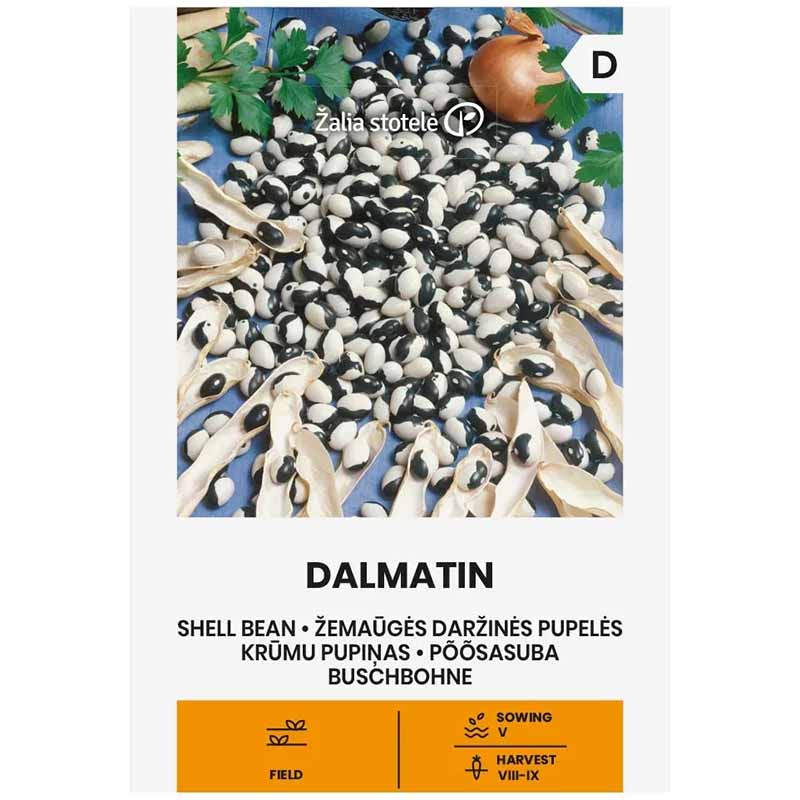 Kochbohne 'Dalmatin'