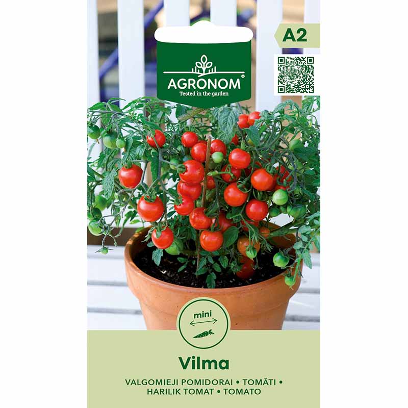 Buschtomate 'Vilma'