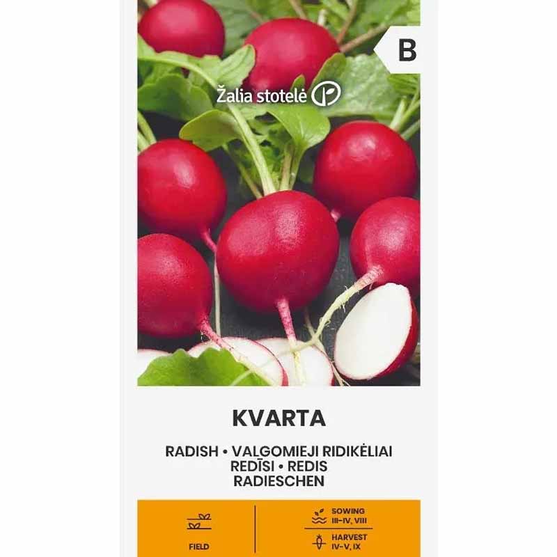 Radieschen 'Kvarta'
