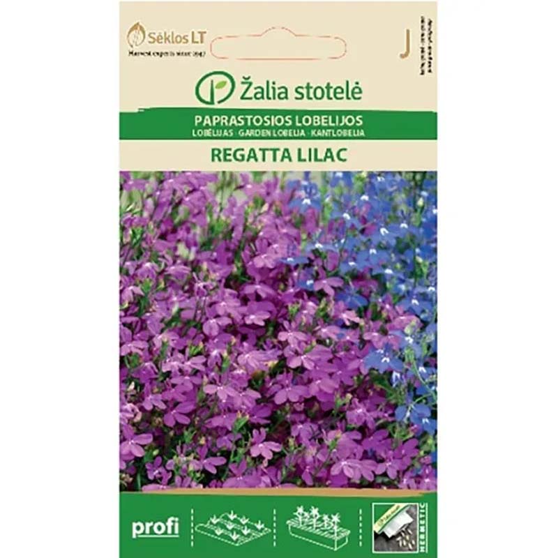 Lobelie 'Regatta Lilac'